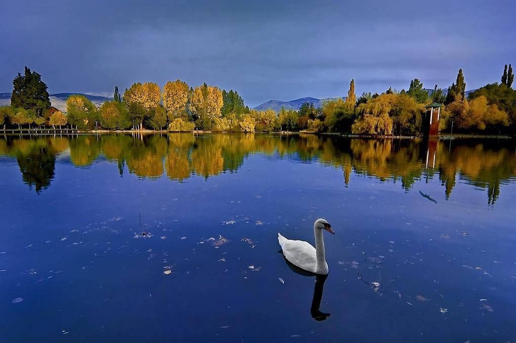 Hotel Del Lago Puigcerdà Eksteriør bilde